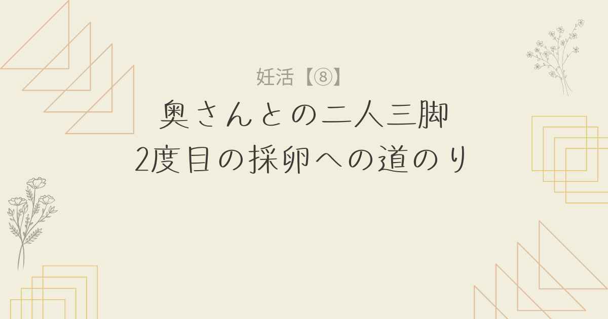 【妊活8】2度目の採卵：そして顕微授精という選択